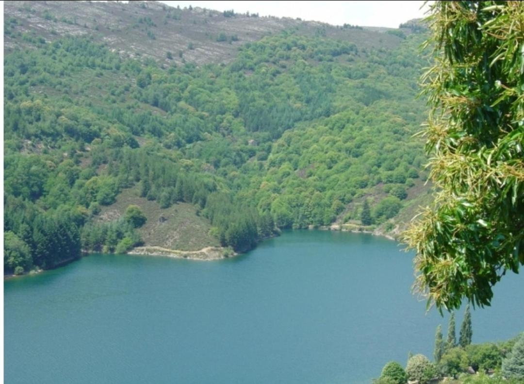 Appartement Sur Les Rochers Du Lac & Location-Rando En Vtt à Villefort  Extérieur photo